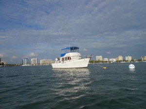Carina moored at Marina Jack, Sarasota