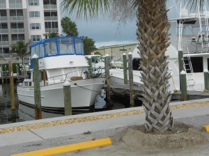 Carina at Gasparilla Marina