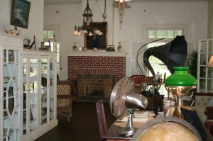 The library, Edison house