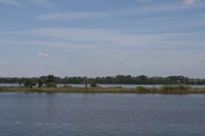 Tomoka Basin
