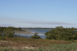 Another view of Salt Run