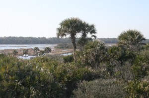Tolomato River, from the Atlantic shore
