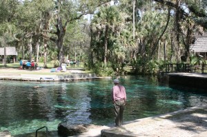 The swimming pool at Juniper Springs