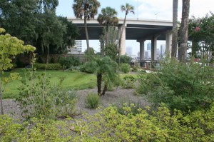 Lower Olmsted Garden contrasts with the urban landscape