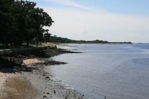 The river shore, Cumberland Island