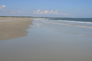 Reflections on the seashore
