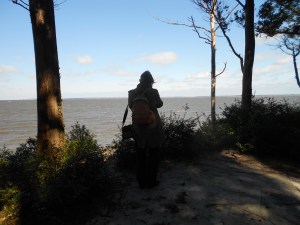 Where the colonists landed