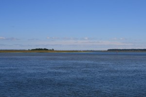 Thunderbolt Marina to Bull Creek