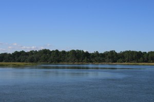 Reflections at Bull Creek