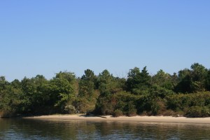 Beach at Adams Creek