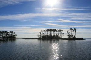 Morning sun, Whitaker Pointe