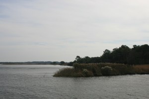 Virginia coming into view