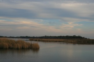 Mooring near Pungo River Ferry