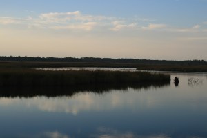 Mooring near Pungo River Ferry