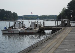 Fishing boats at San Domingo Creek