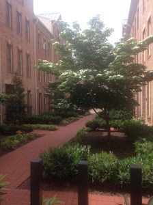 Plantings making all the difference to townhouses off Boston St, Canton