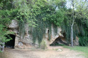 Caves under the bluff