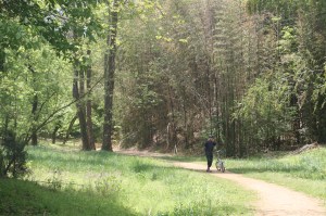 Tobacco Road - where the tobacco was transported down to the docks