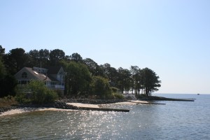 Morning sunshine on Jackson Creek