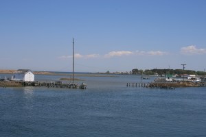 View from the marina
