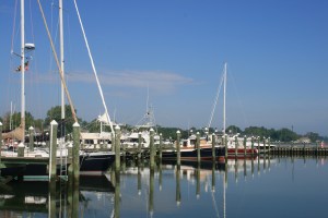 Boats at Cambridge Municipal Marina