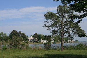 Near Black Walnut Point