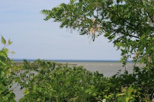 Looking north, Knapps Narrows