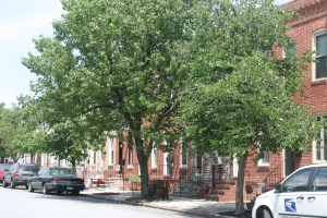 Row Houses, Decatur St, Locust Point