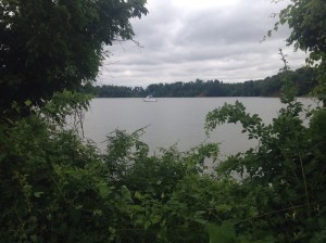 The Sassafas River from the Cliff Trail, Carina in the background