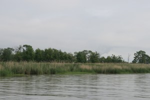 Reedy Island, Delaware River