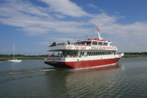 Whale trip leaving from next to Miss Chris Marina