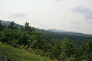 Near Windham