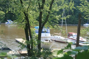 Carina at Sue's dock