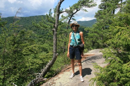 Looking towards Snowy Mountain from Pinnacle Watch Hill