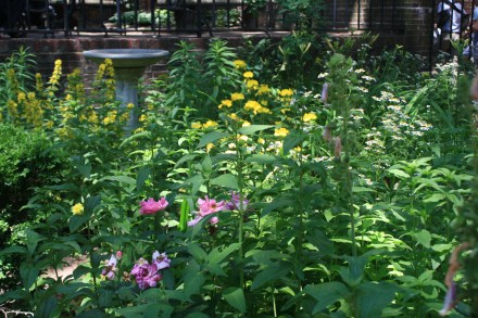 Garden of Old North Church