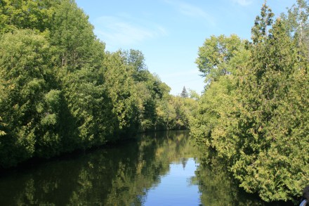 Just above the lock at Lakefield