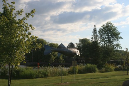 Pisces Park, Hastings