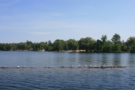 Looking back to the beach at Fenelon Falls