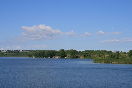 Trent River between Hastings and Rice Lake