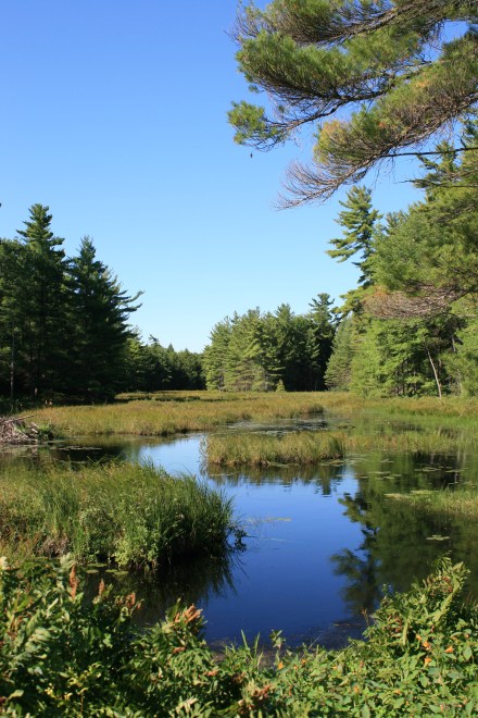 Massasauga Trail, Beausoleil Island