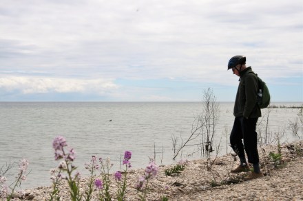 IMG_0007pebbly beach