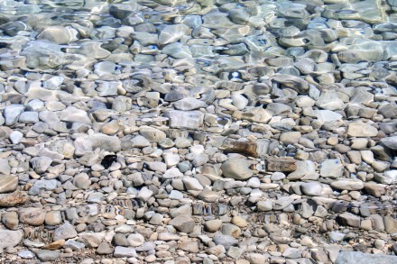 IMG_0018pebbles under water