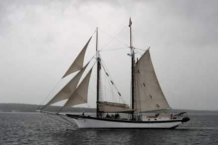 IMG_0080on the way to Traverse City