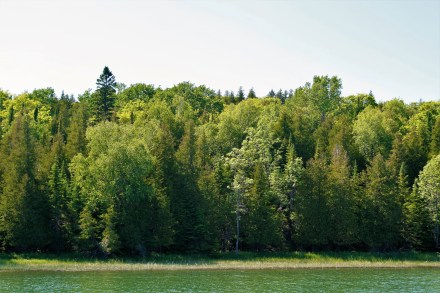 IMG_0253Harbor Island