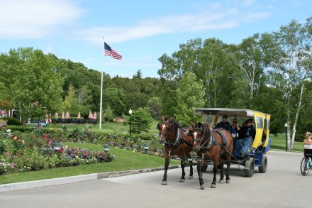 IMG_0316guests arriving by horse and carriage