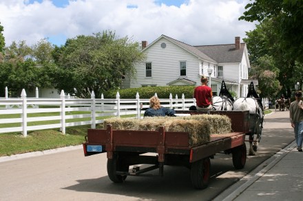 IMG_0318transporting the hay