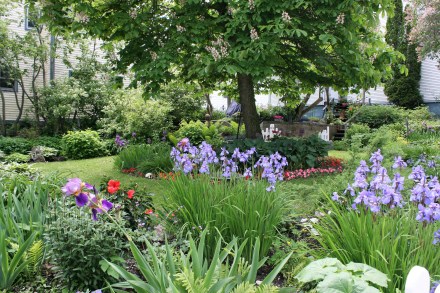 IMG_0320a secret garden