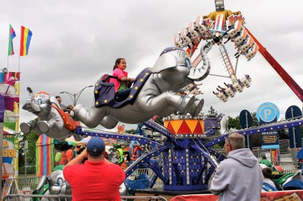 IMG_0012Flying elephants