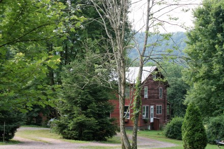 IMG_0035Stepping Stones Farm