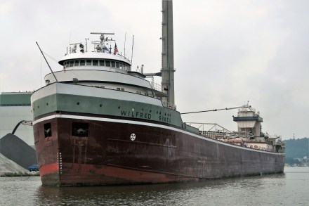 IMG_0014Wilfred Sykes